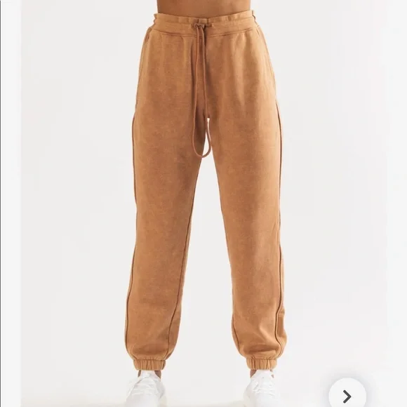 Pants & Jumpsuits | Iso Small Alphalete Essential Oversized  display picture 3